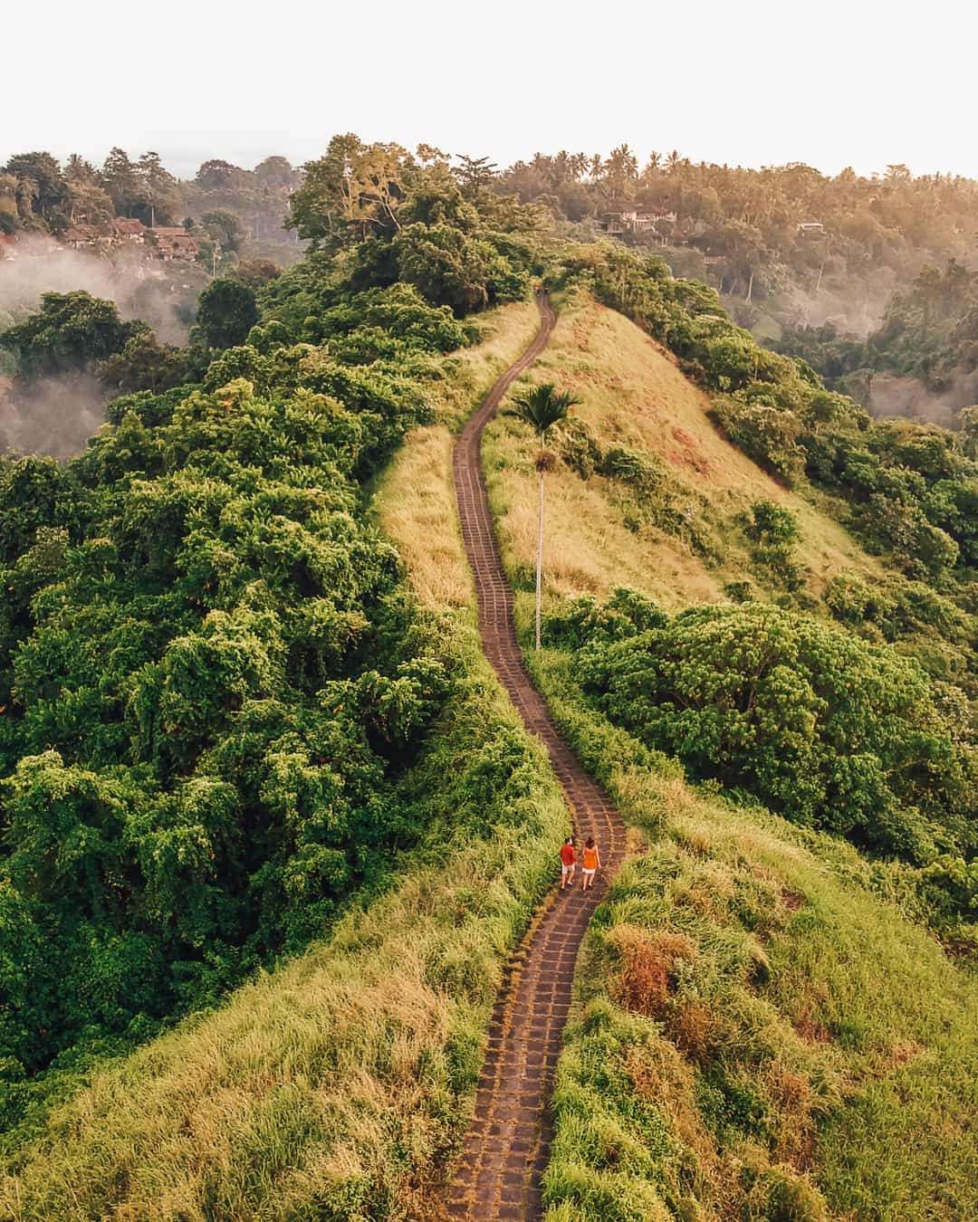Trip photo