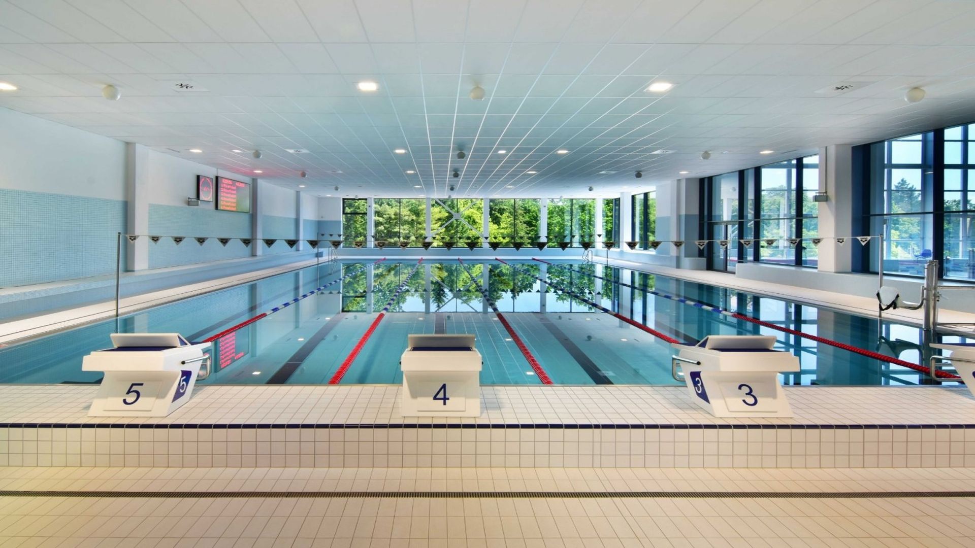 Stage de natation a Pardubice