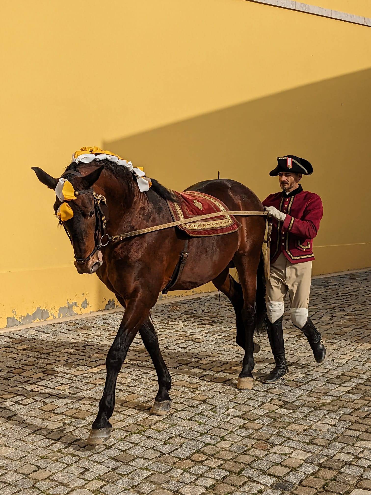Visit to the Portuguese School of Equestrian Art 