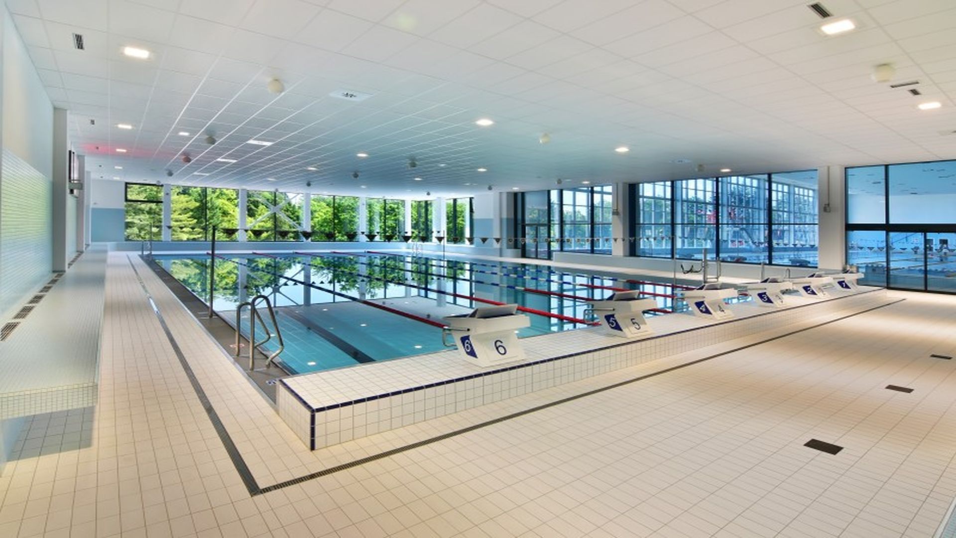 Stage de natation a Pardubice