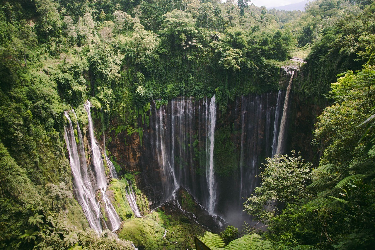 Trip photo
