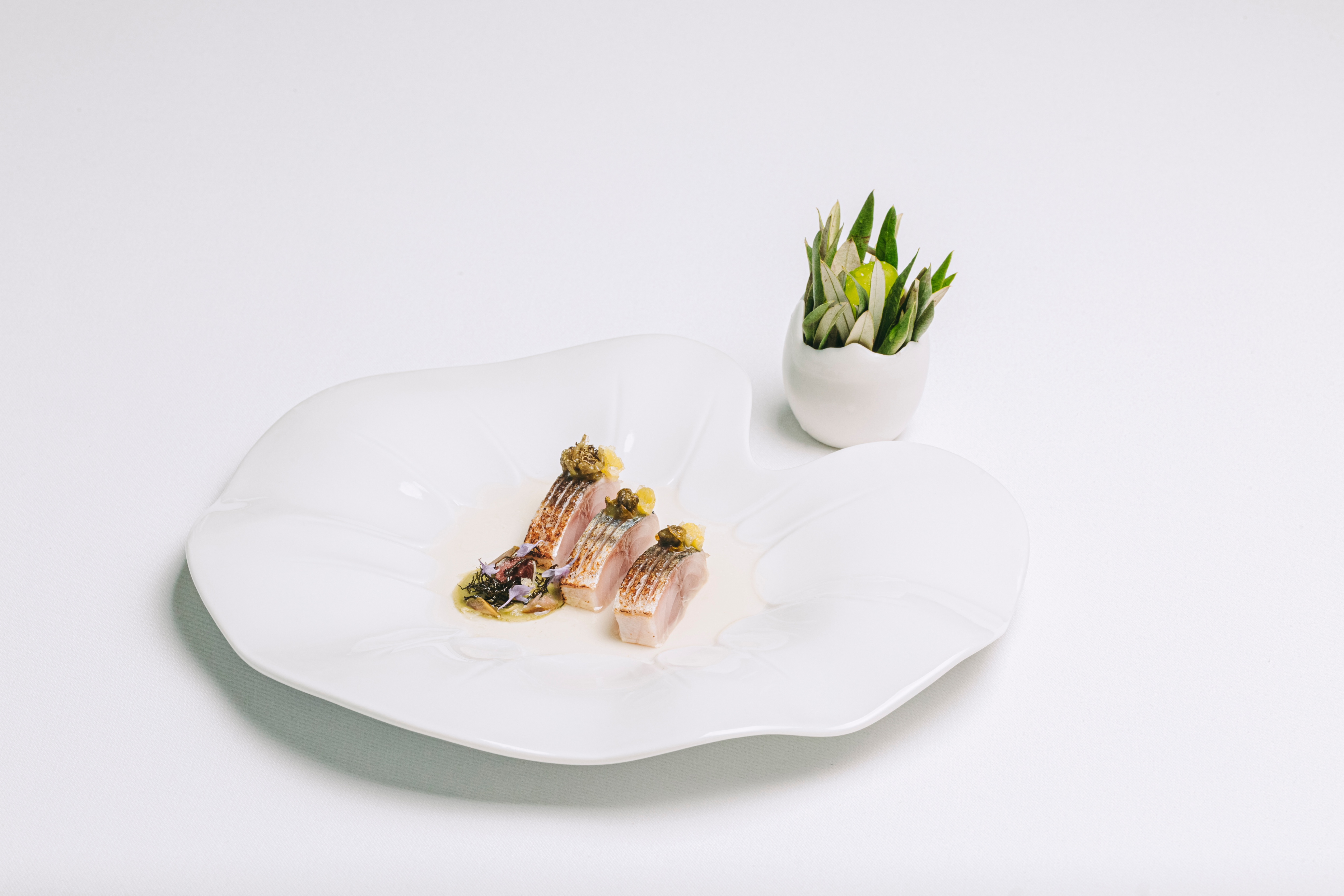 Tasting Menu at VISTA