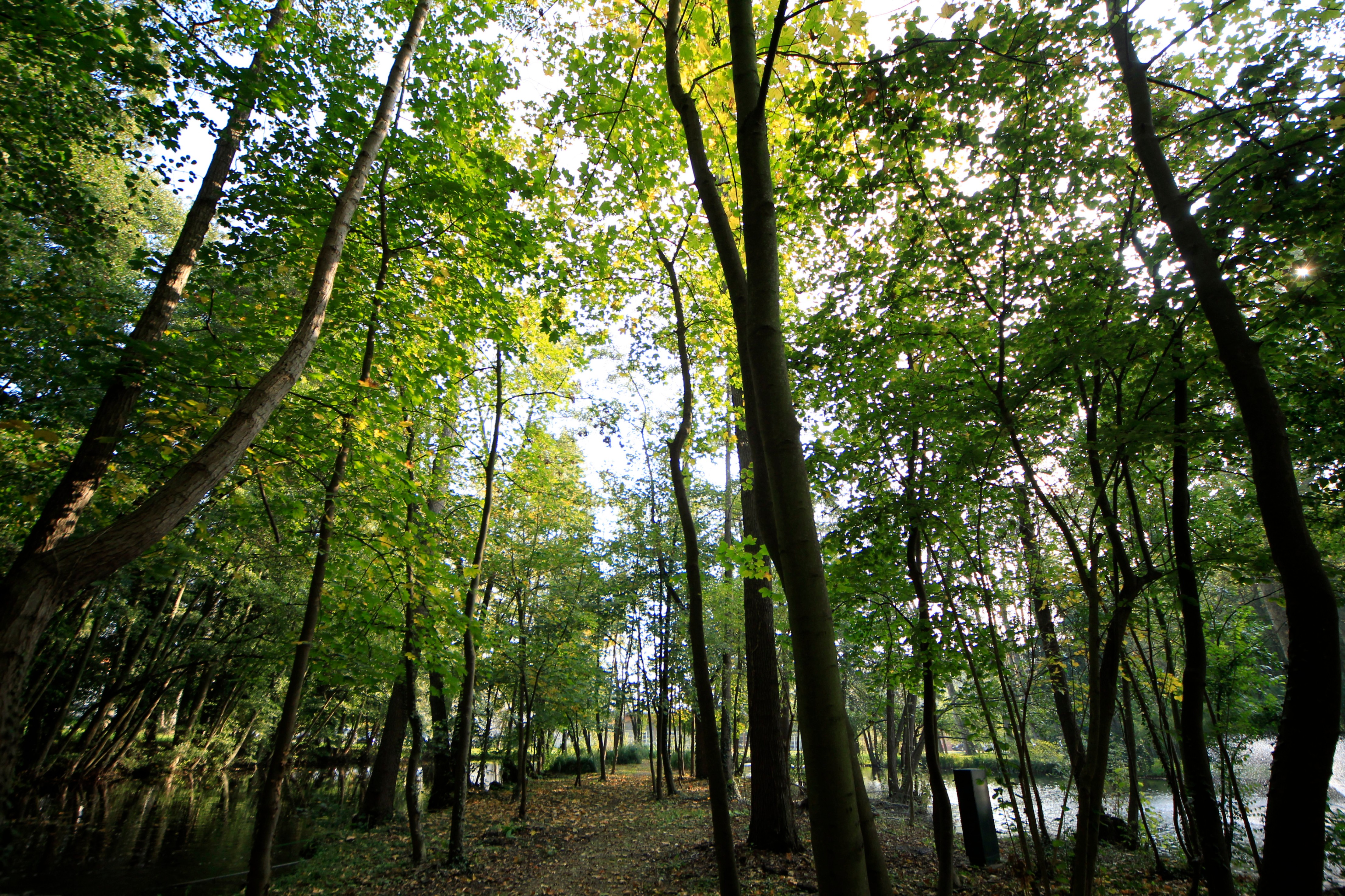Parc.JPG