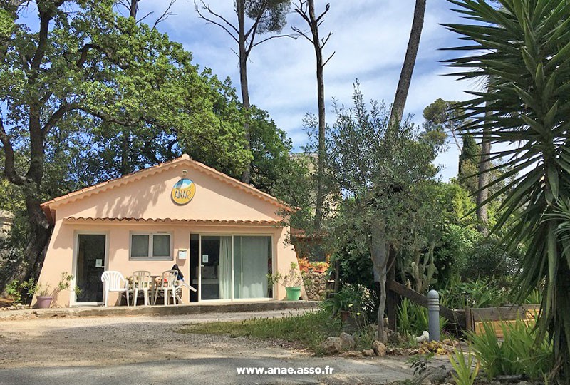 Stage de natation à Hyères hébergement extérieur