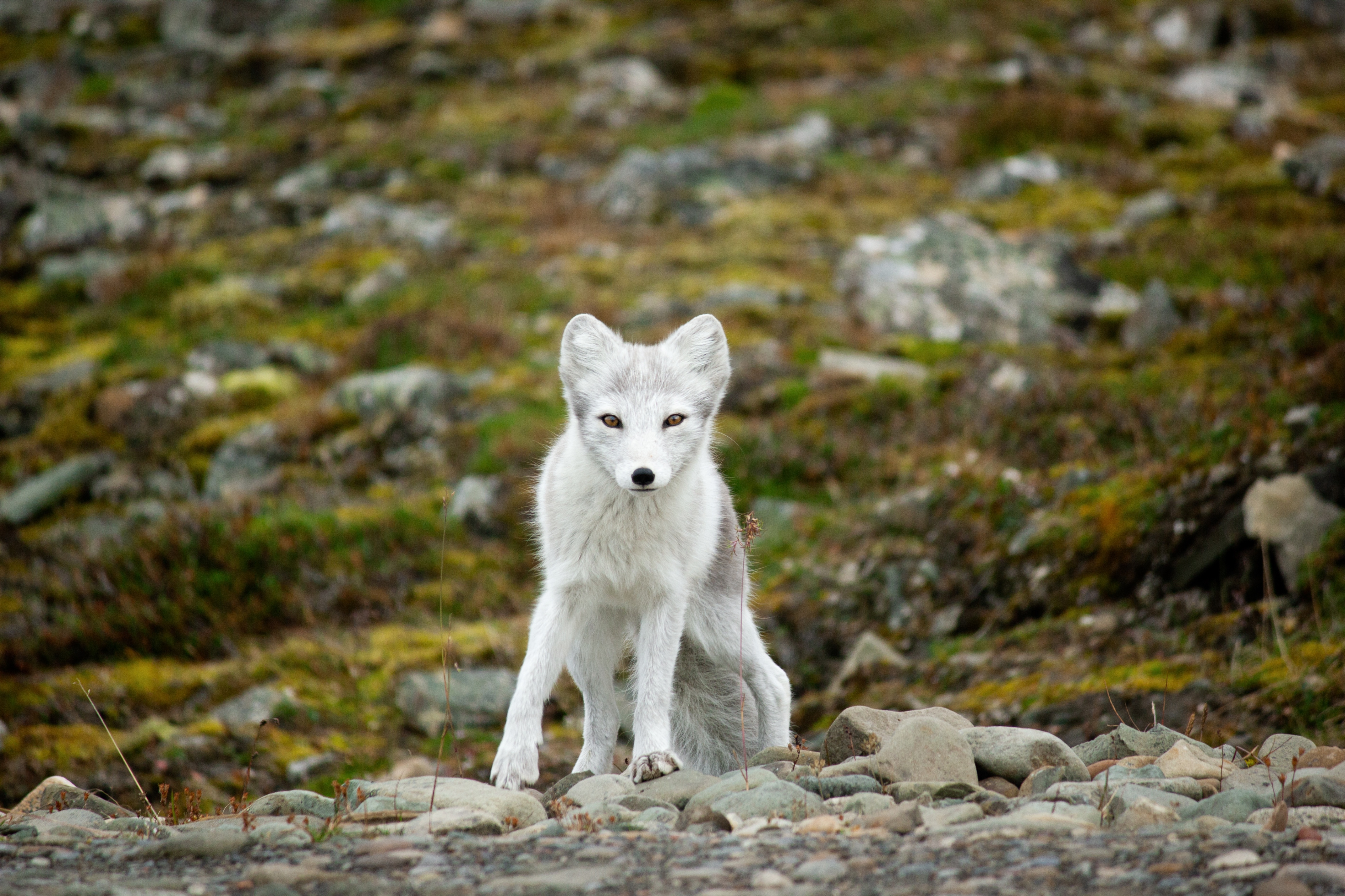 Bjorndalen Nature Walk