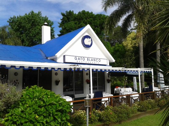 Private Navigation at El Tigre - with Lunch at Isla El Descanso