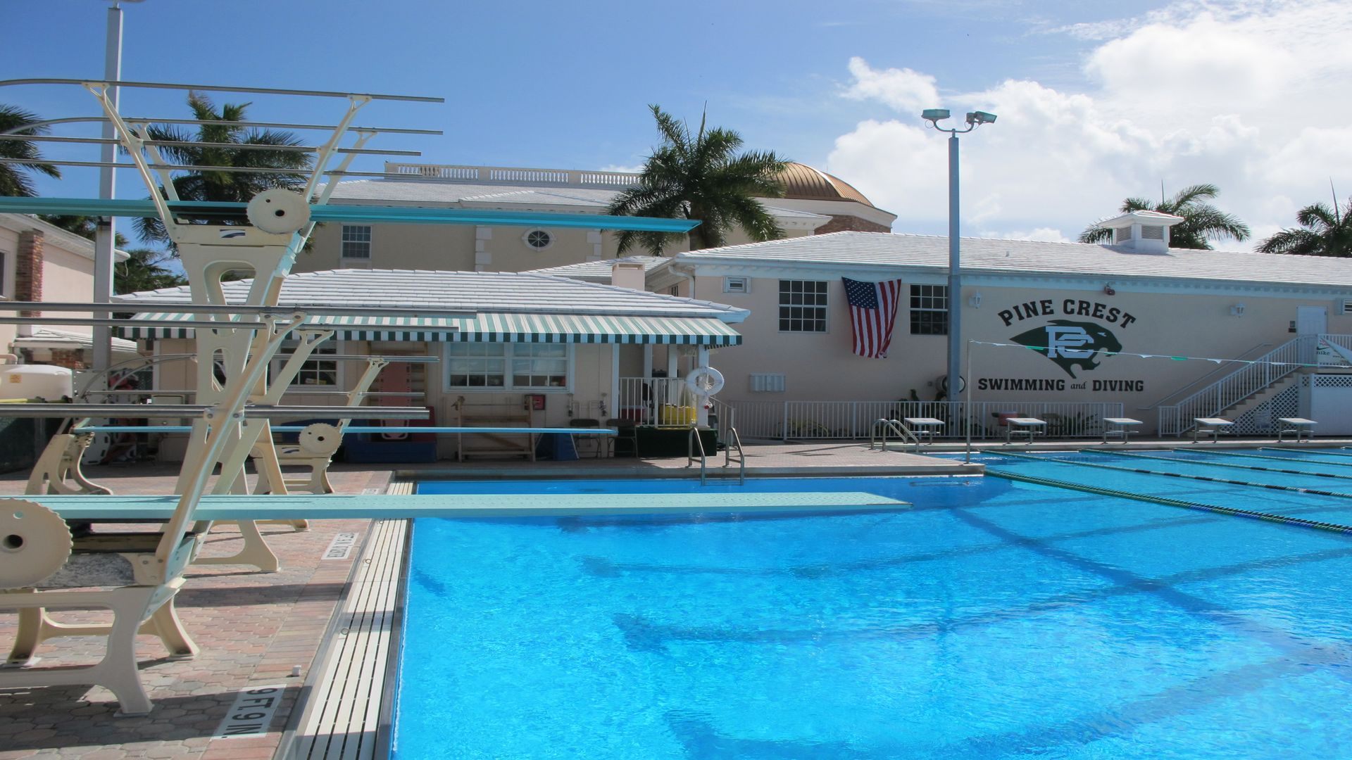 Stage de à natation à Pinecrest aux USA - Plongeoirs Piscine extérieure découverte Olympique 50m 