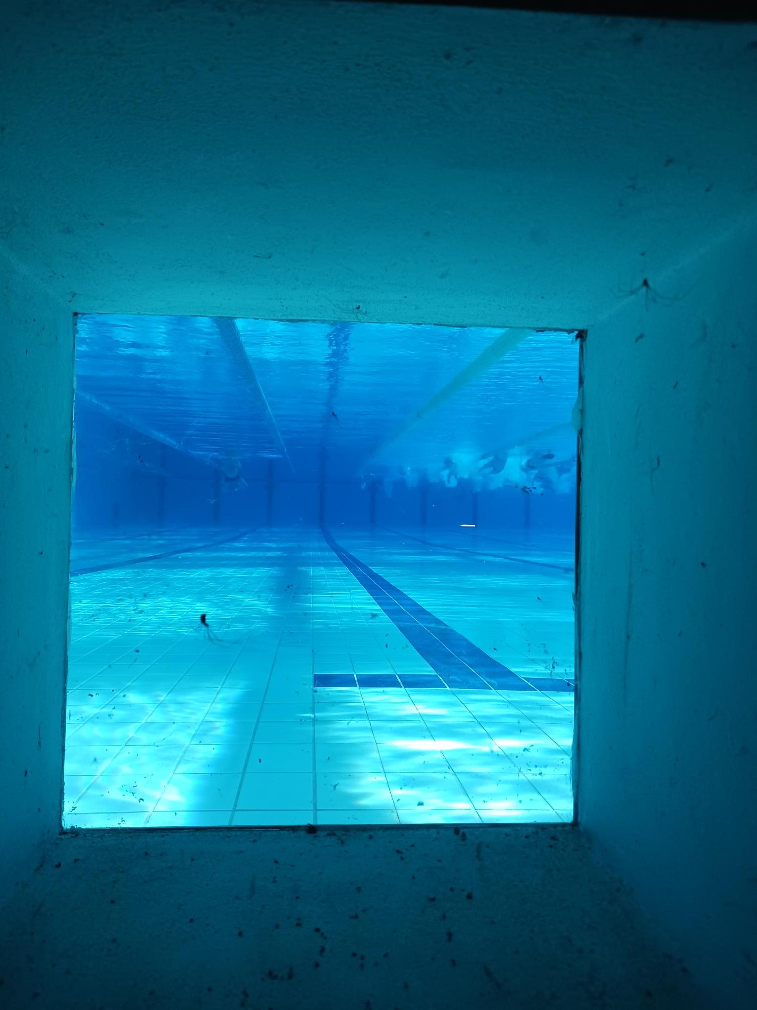 Stage de natation Sport'n go à Coimbra - Piscine Olympique 50m couverte