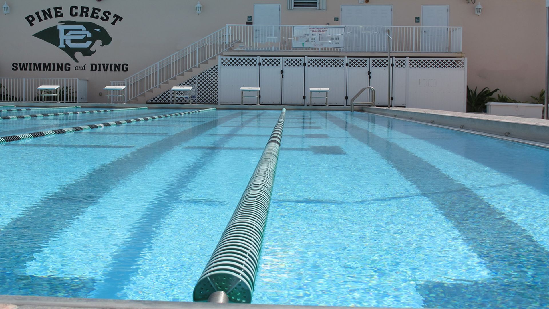 Stage de à natation à Pinecrest aux USA - Piscine extérieure découverte Olympique 50m 
