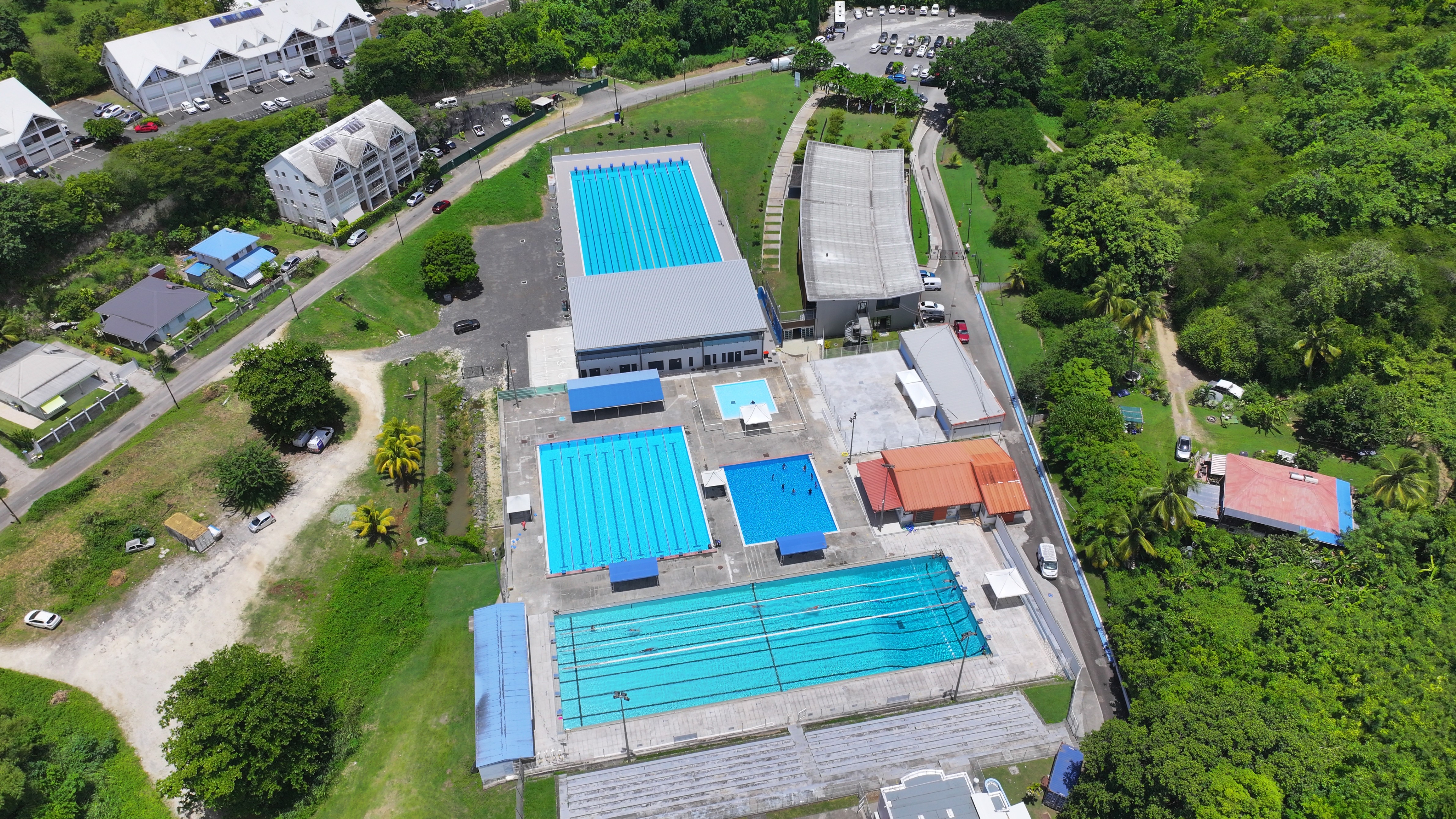 stage natation - Guadeloupe (1).JPG
