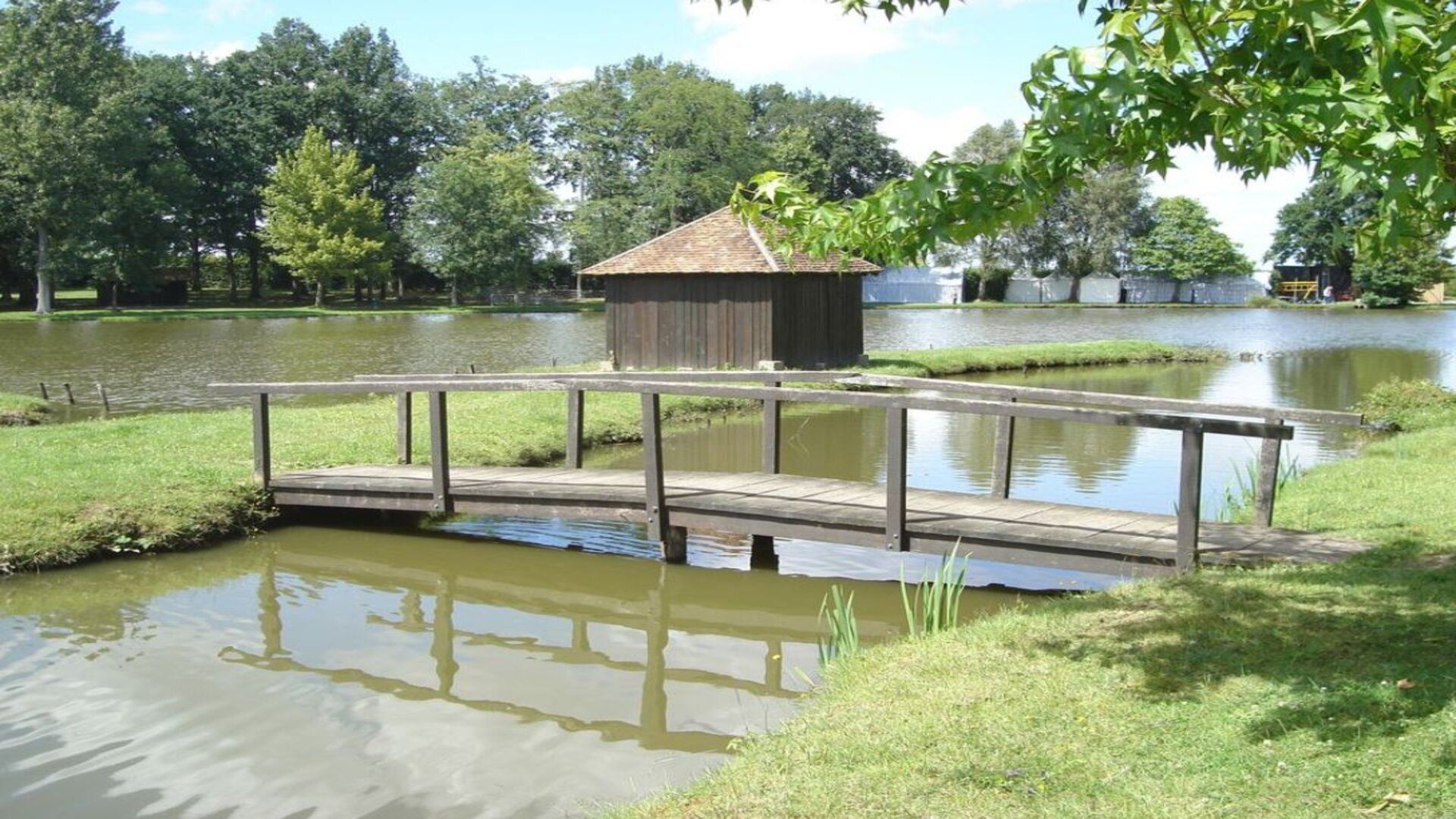 Stage de natation à Aubigny sur Nère environnement