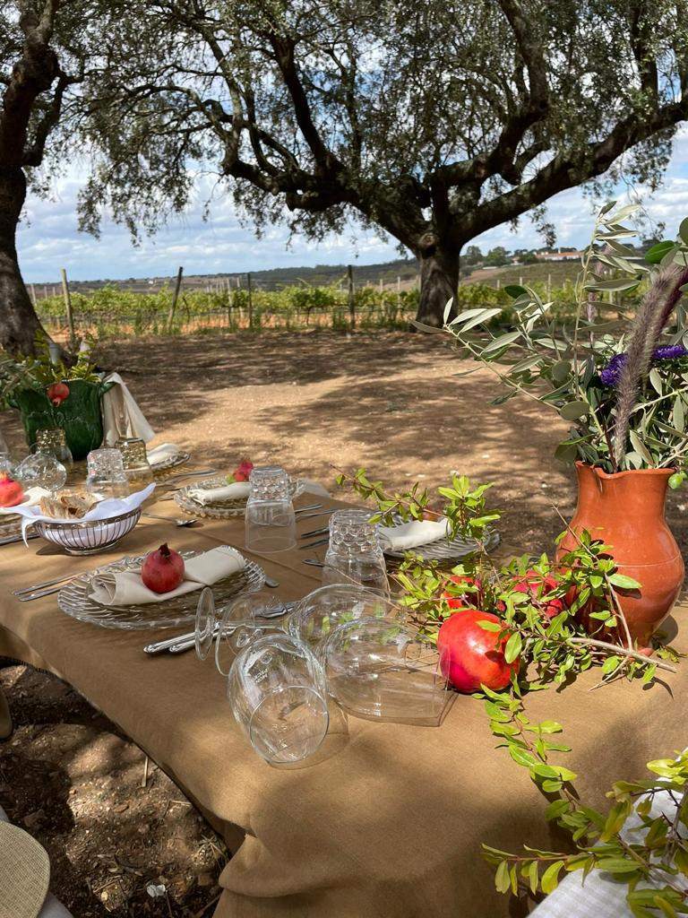 Guided Visit and Charming Picnic in the Vineyards inside a Countryside Estate in Beja
