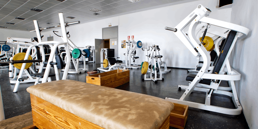 gym  2.png