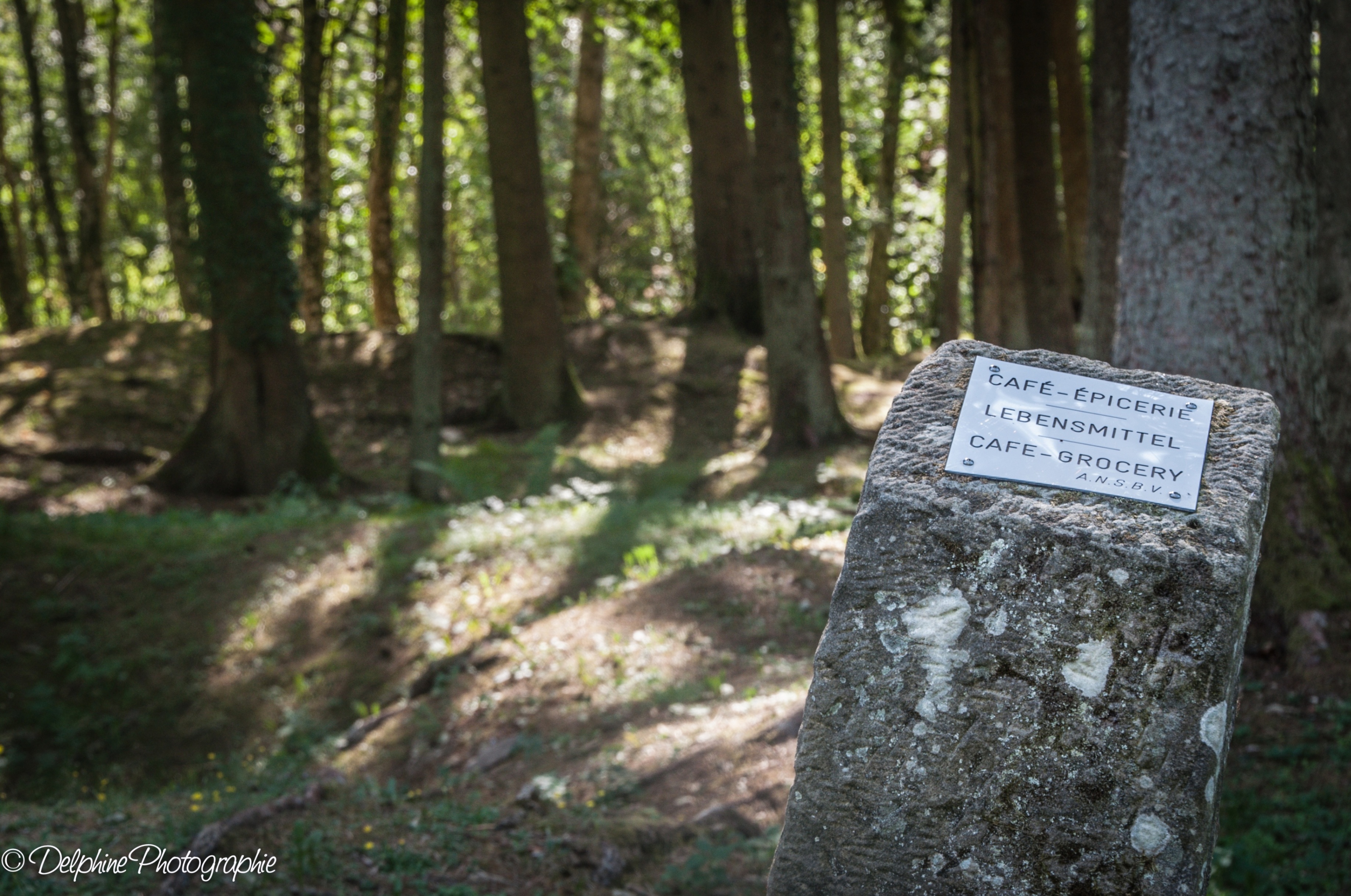 Arrêt commenté au village détruit de Fleury-devant-Douaumont