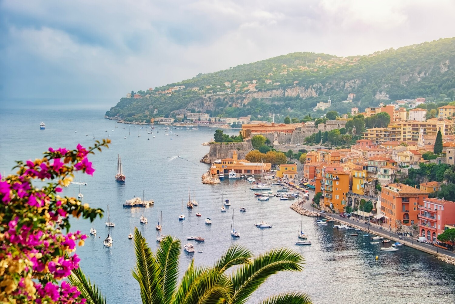nice.jpeg